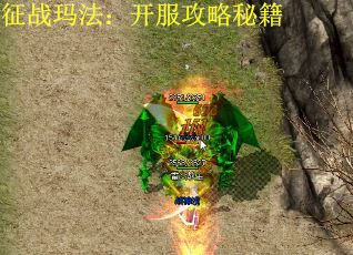 征战玛法：开服攻略秘籍