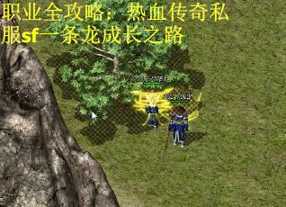 职业全攻略：热血传奇私服sf一条龙成长之路