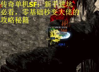 传奇单机SF：新手进坑必看，零基础秒变大佬的攻略秘籍