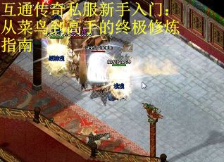 互通传奇私服新手入门：从菜鸟到高手的终极修炼指南