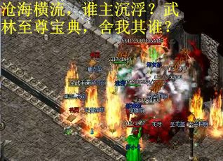 沧海横流，谁主沉浮？武林至尊宝典，舍我其谁？