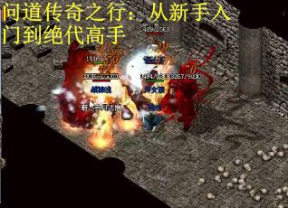 问道传奇之行：从新手入门到绝代高手