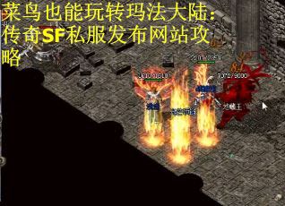 菜鸟也能玩转玛法大陆：传奇SF私服发布网站攻略