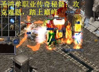 圣鸿单职业传奇秘籍：攻克难题，踏上巅峰