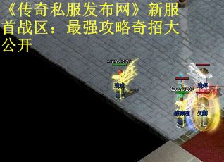 《传奇私服发布网》新服首战区：最强攻略奇招大公开