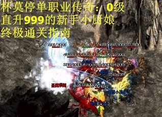 杯莫停单职业传奇：0级直升999的新手小厨娘终极通关指南