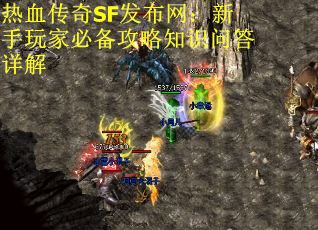 热血传奇SF发布网：新手玩家必备攻略知识问答详解