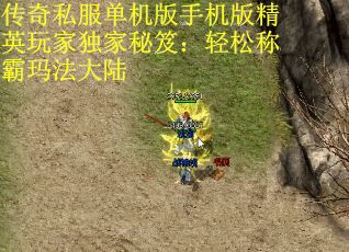 传奇私服单机版手机版精英玩家独家秘笈：轻松称霸玛法大陆