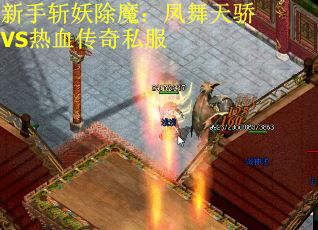 新手斩妖除魔：凤舞天骄VS热血传奇私服