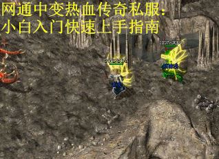 网通中变热血传奇私服：小白入门快速上手指南