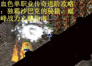 血色单职业传奇进阶攻略：独霸沙巴克的秘籍，巅峰战力之路指南