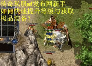 传奇私服sf发布网新手如何快速提升等级与获取极品装备？
