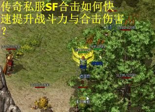 传奇私服SF合击如何快速提升战斗力与合击伤害？