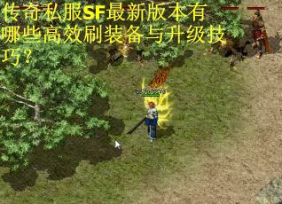 传奇私服SF最新版本有哪些高效刷装备与升级技巧？