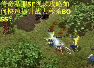 传奇私服SF视频攻略如何快速提升战力秒杀BOSS？