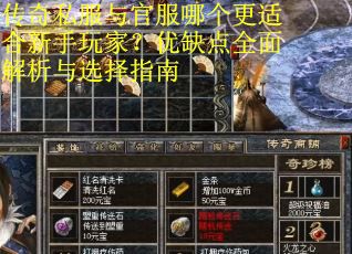 传奇私服与官服哪个更适合新手玩家？优缺点全面解析与选择指南