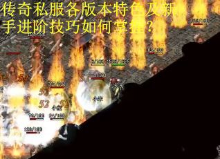 传奇私服各版本特色及新手进阶技巧如何掌握？