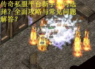 传奇私服平台新手如何选择？全面攻略与常见问题解答？