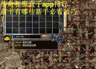 传奇私服盒子app排行前十有哪些新手必看技巧？