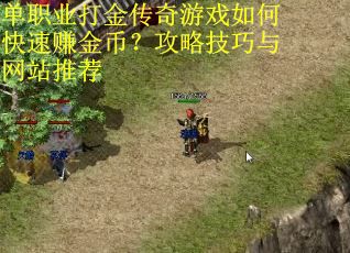 单职业打金传奇游戏如何快速赚金币？攻略技巧与网站推荐