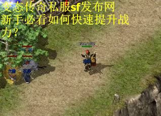 变态传奇私服sf发布网新手必看如何快速提升战力? 变态传奇私服sf发布网新手必看如何快速提升战力?