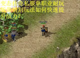 变态传奇私服单职业耐玩版带切割玩法如何快速提升战力？