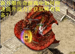 新开服传奇游戏中如何快速提升战力并获取稀有装备？