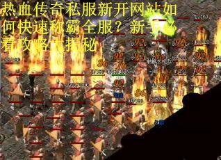 热血传奇私服新开网站如何快速称霸全服？新手必看攻略大揭秘