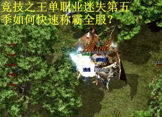 竞技之王单职业迷失第五季如何快速称霸全服? 竞技之王单职业迷失第五季如何快速称霸全服?