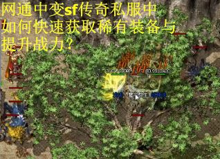 网通中变sf传奇私服中如何快速获取稀有装备与提升战力? 网通中变sf传奇私服中如何快速获取稀有装备与提升战力?