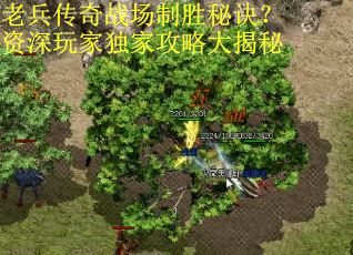 老兵传奇战场制胜秘诀?资深玩家独家攻略大揭秘 老兵传奇战场制胜秘诀?资深玩家独家攻略大揭秘