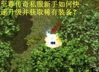 至尊传奇私服新手如何快速升级并获取稀有装备? 至尊传奇私服新手如何快速升级并获取稀有装备?