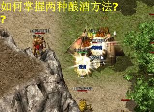 如何掌握两种酿酒方法??