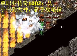 单职业传奇1002：从小白到大神，新手攻略指南