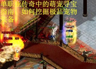 单职业传奇中的萌宠寻宝指南：如何挖掘极品宠物装备