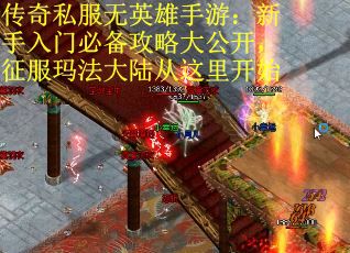 传奇私服无英雄手游：新手入门必备攻略大公开，征服玛法大陆从这里开始