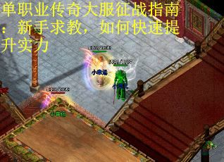 单职业传奇大服征战指南：新手求教，如何快速提升实力