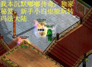 我本沉默嘟嘟传奇：独家秘笈，新手小白也能玩转玛法大陆