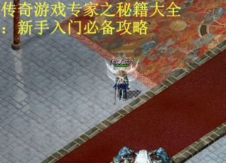 传奇游戏专家之秘籍大全：新手入门必备攻略