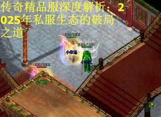 传奇精品服深度解析：2025年私服生态的破局之道