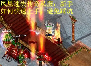 凤凰迷失传奇私服：新手如何快速上手，避免踩坑？