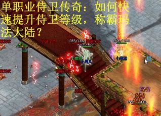 单职业侍卫传奇：如何快速提升侍卫等级，称霸玛法大陆？