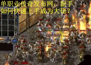 单职业传奇发布网：新手如何快速上手成为大佬？