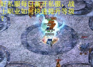 好私服每日新开私服，战士职业如何快速提升等级？