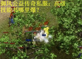 御风公益传奇私服：高级技能书哪里爆？