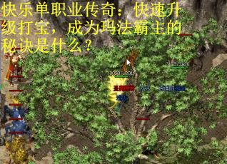 快乐单职业传奇：快速升级打宝，成为玛法霸主的秘诀是什么？