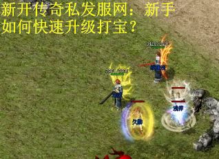 新开传奇私发服网：新手如何快速升级打宝？