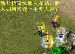 新开传奇私服发布站，新人如何快速上手变大神？