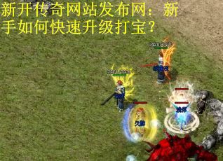 新开传奇网站发布网：新手如何快速升级打宝？