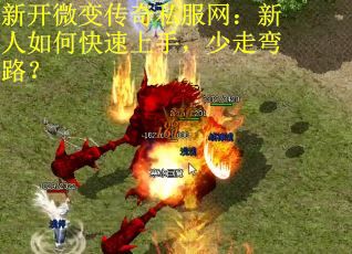 新开微变传奇私服网：新人如何快速上手，少走弯路？
